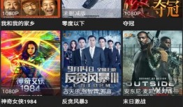 宝库最新爆料视频下载大全,揭秘热门内容，一网打尽！