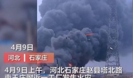 河北石家庄爆料视频,街头事件引发热议